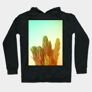 Desert Dream Hoodie